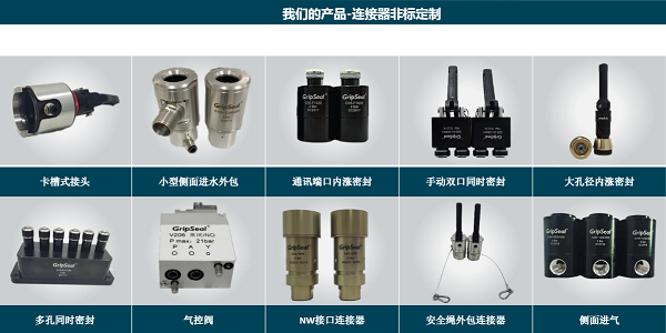 格雷希爾非標(biāo)定制密封測試接頭